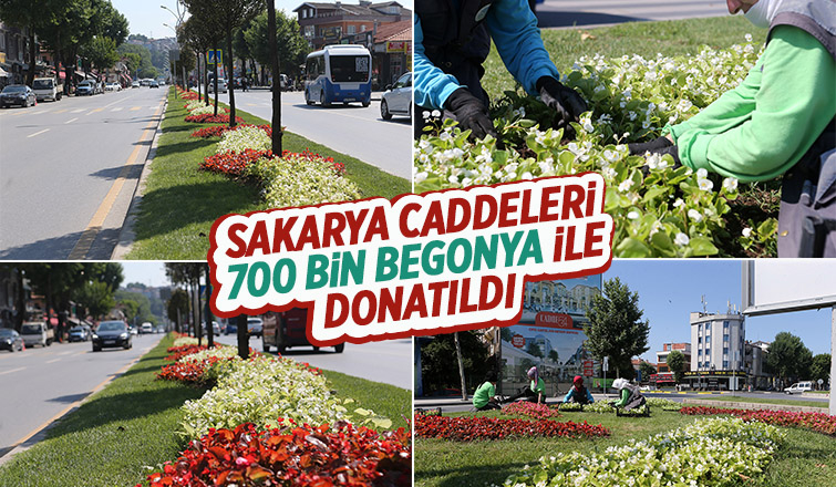 Şehrin caddeleri çiçek bahçesi gibi olacak