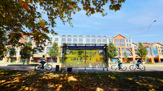 Şehrin doğal güzellikleri vitrine çıktı