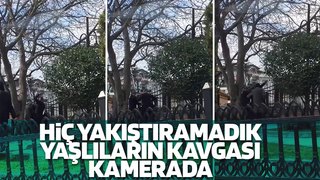 Şehrin göbeğinde yaşlıların kavgası kamerada