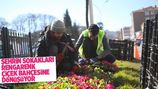 Şehrin sokakları rengârenk çiçek bahçesine dönüşüyor