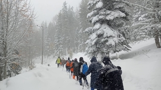 Şehrin zirvesinde karda yürüdüler