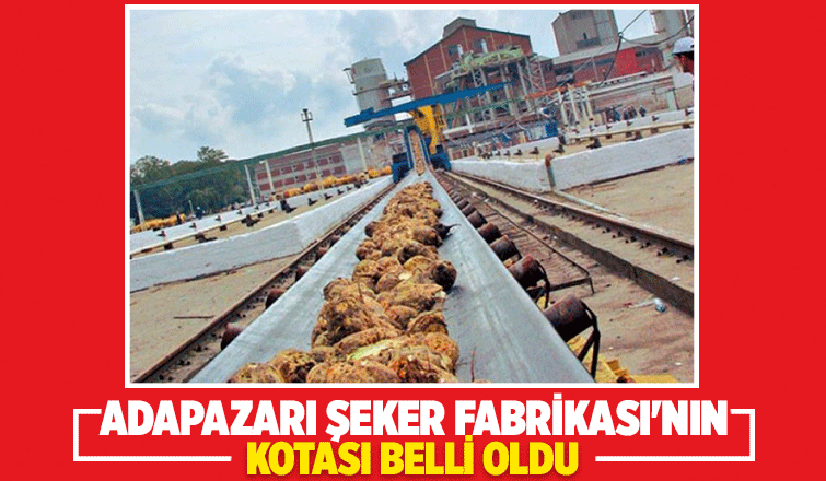 Şeker kotaları belli oldu; İşte Adapazarı'nın kotası