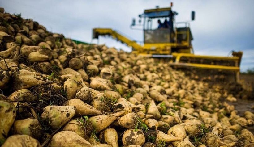 Şekerde de zam kapıda