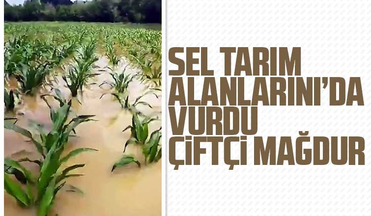 Sel tarım alanlarını da vurdu