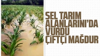 Sel tarım alanlarını da vurdu