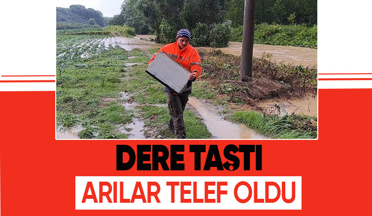 Selde arılar telef oldu