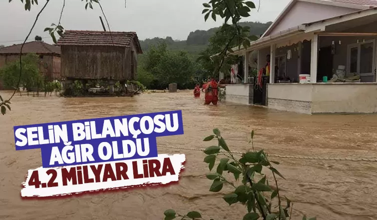 Selin bilançosu: 4.2 milyar lira