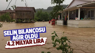 Selin bilançosu: 4.2 milyar lira