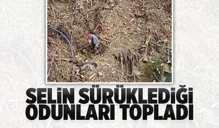 Selin sürüklediği odunları topladı