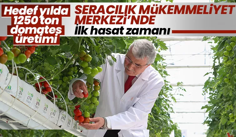 Seracılık Mükemmeliyet Merkezi’nde ilk hasat heyecanı