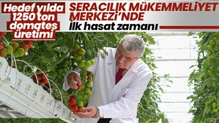 Seracılık Mükemmeliyet Merkezi’nde ilk hasat heyecanı