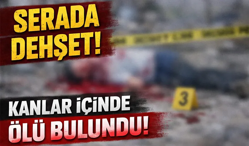 Serada kanlar içinde ölü bulundu