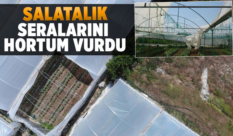 Seraları hortum vurdu