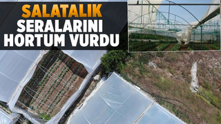 Seraları hortum vurdu