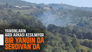 Serdivan'da ağaçlık alanda yangın