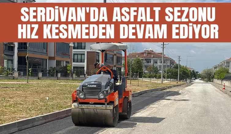 Serdivan'da asfalt atağı