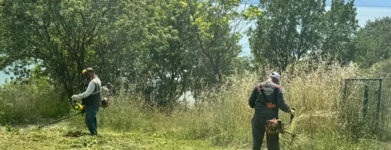 Serdivan'da bahar temizliği sürüyor