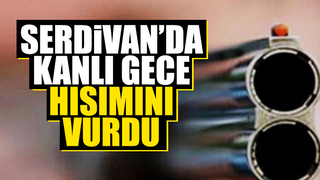 Serdivan'da kanlı gece