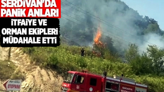 Serdivan'da ormanlık alanda korkutan yangın
