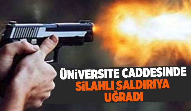 Serdivan'da silahlı saldırı