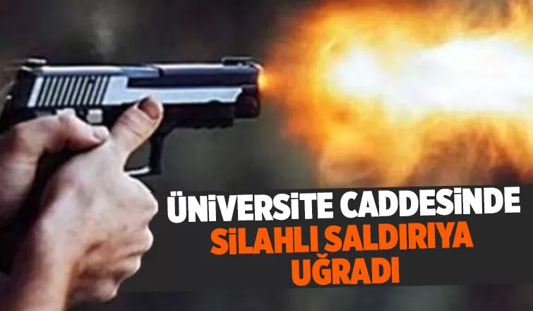 Serdivan'da silahlı saldırı