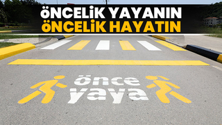 Serdivan'da yaya çizgisi çalışması