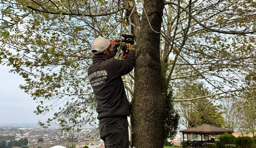 Serdivan'da yeşil alan bakım çalışması