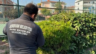 Serdivan'da yeşil alanlar düzenleniyor