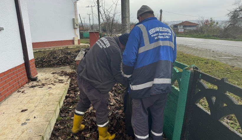 Serdivan'da yeşil alanlara düzenli bakım