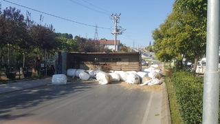 Serdivan'da dehşet anları Hafif ticari aracı biçip devrildi