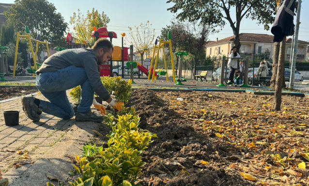 Serdivan'ın yeşil alanları güzelleşiyor
