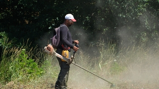 Serdivan’da çevre düzenleme çalışmaları sürüyor