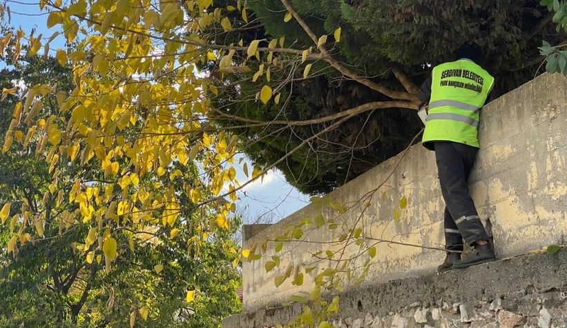 Serdivan’da kışa hazırlık çalışmaları