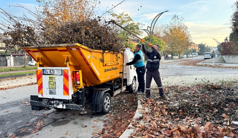 Serdivan’da sonbahar temizliği