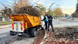 Serdivan’da sonbahar temizliği