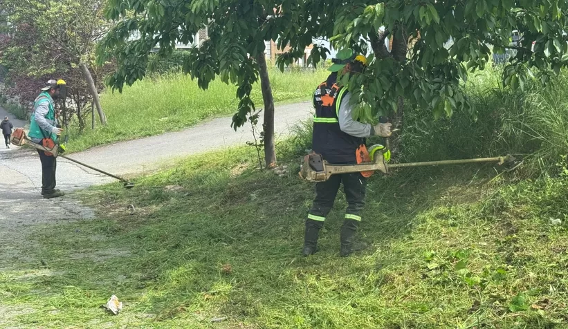 Serdivan’da yaz öncesi temizlik devam ediyor