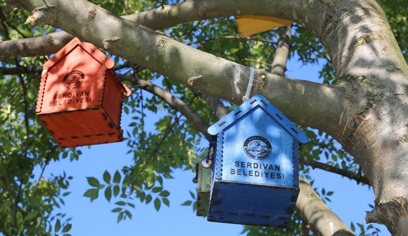 Serdivan’ın parklarını kedi ve kuş evleri süslüyor