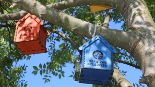 Serdivan’ın parklarını kedi ve kuş evleri süslüyor