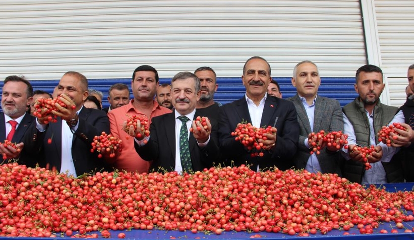 Sezonun ilk kirazı 800 TL’den satıldı