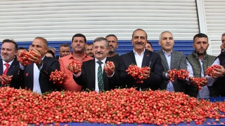 Sezonun ilk kirazı 800 TL’den satıldı