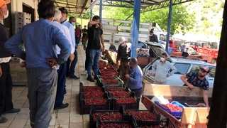 Sezonun ilk kirazları 'Açık artırma' ile satıldı