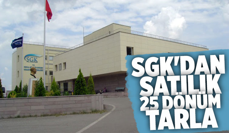 SGK Akyazı'da tarla satıyor