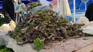 Şifa deposu kaldirik otunun faydaları