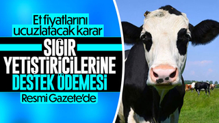 Sığır yetiştiricilerine destek ödemesi Resmi Gazete'de