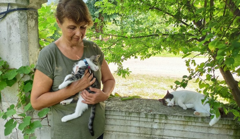 Silahla Sütlacı öldüren caninin bulunmasını istiyor