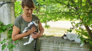 Silahla Sütlacı öldüren caninin bulunmasını istiyor