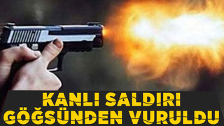 Silahlı saldırıda ağır yaralandı