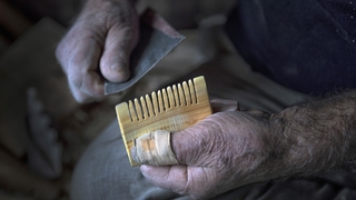 Şimşir Tarak ve kaşık artık Sakarya'nın