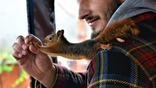 Sincap Alvin çay içiyor, cips yiyor, otomobille geziyor