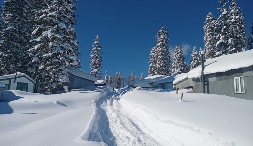 Sinekli Yaylası kara gömüldü
